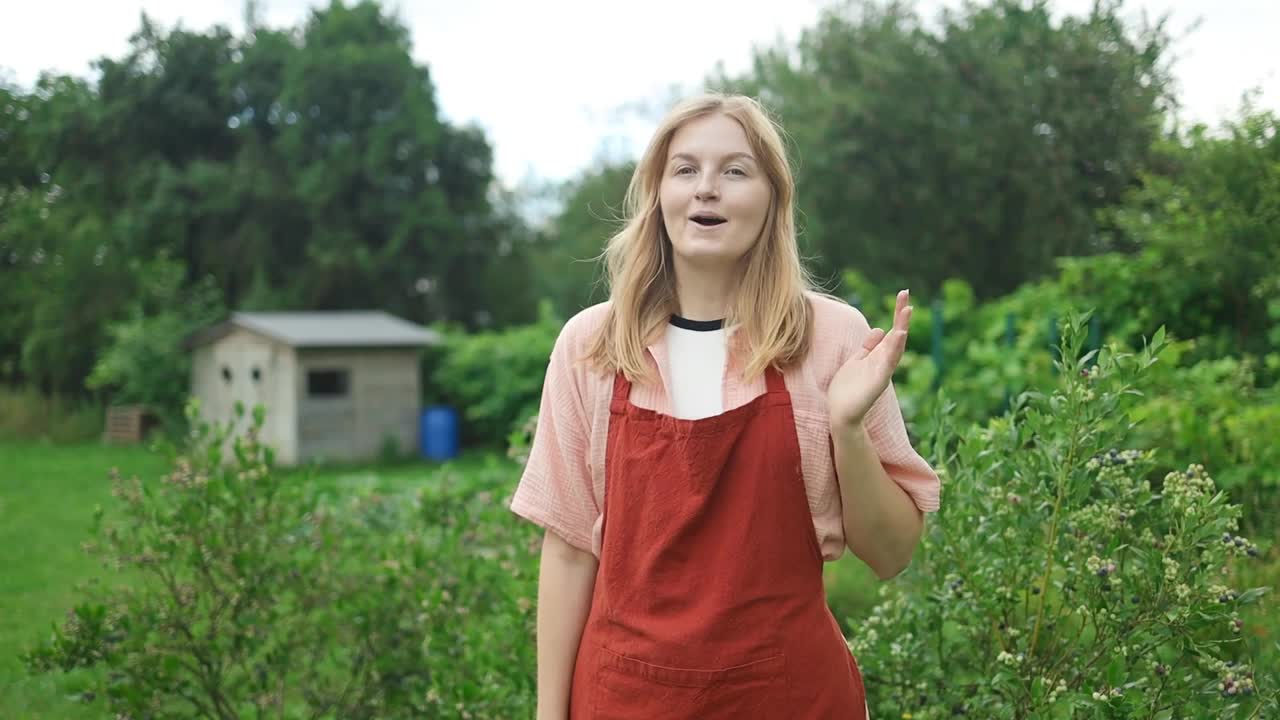 快乐的成年女农民正在温室里的有机农场收获蓝莓视频下载