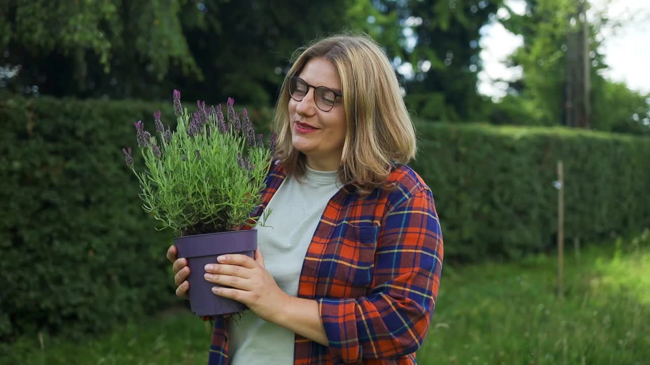 一位白人妇女在花园中心或温室里检查一盆生态薰衣草。在一个阳光明媚的日子里，线下花卉农场的主人。视频下载