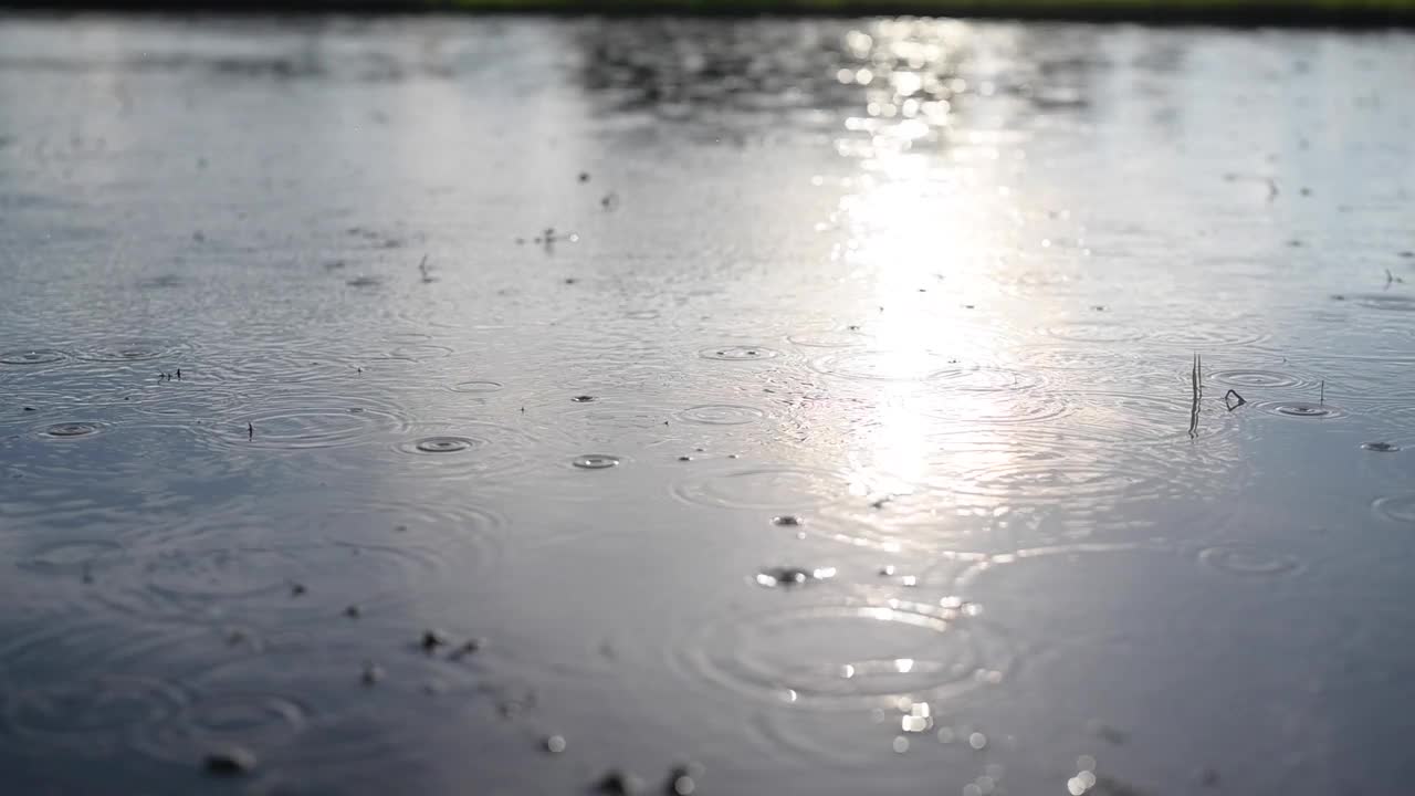 雨水倾泻在田野上，浸透了大地，为种植水稻做准备。视频下载