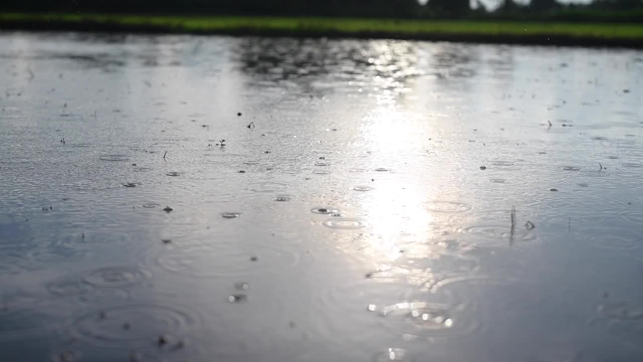 雨水倾泻在田野上，浸透了大地，为种植水稻做准备。视频下载