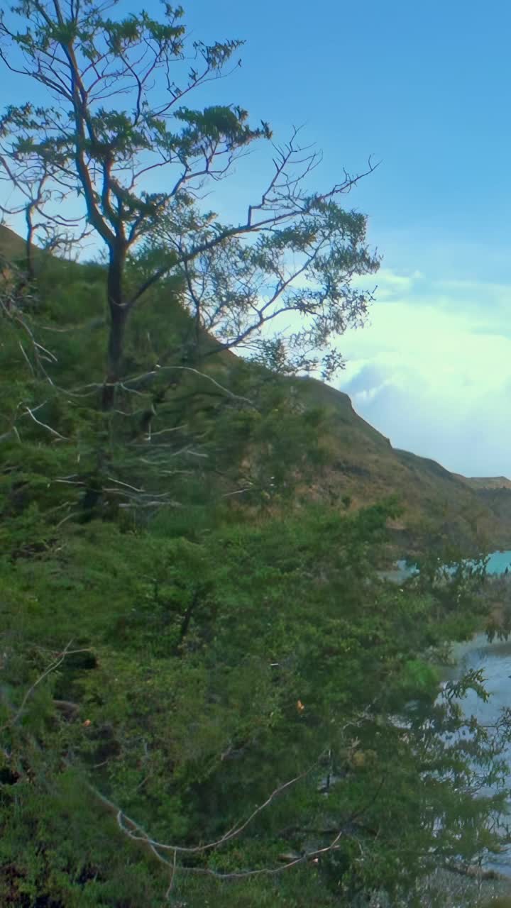 自然海岸景观，郁郁葱葱的绿色植物和平静的水域视频素材