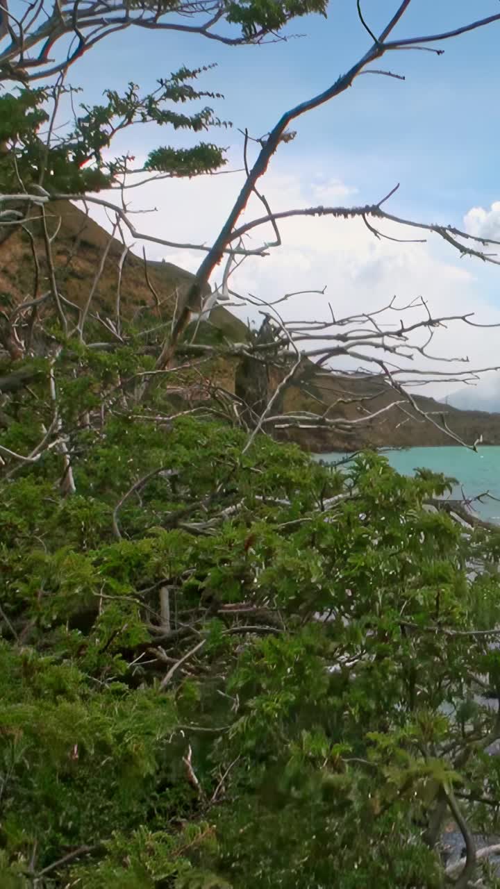 令人惊叹的海岸景观与绿色和蓝色的海水，创造一个宁静的场景视频素材