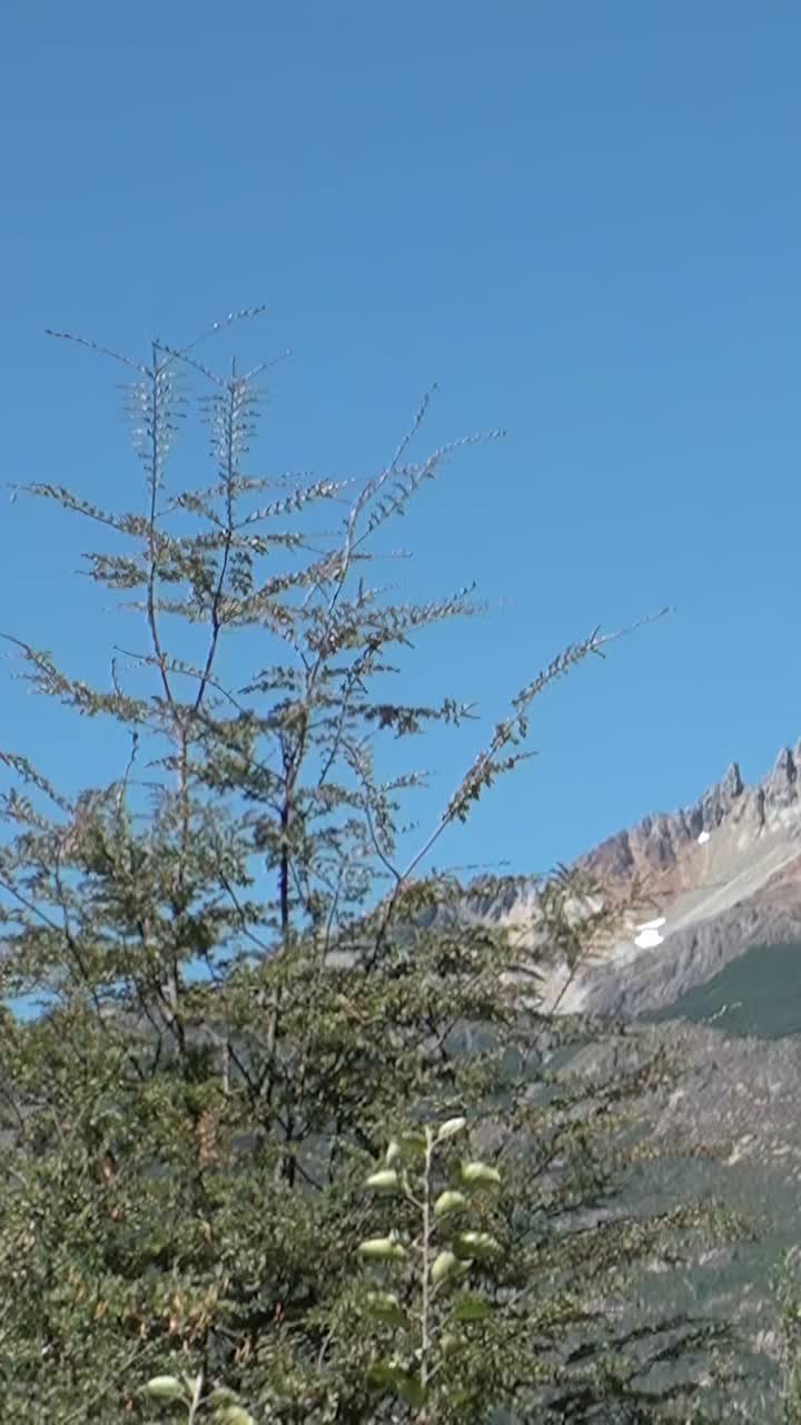 湛蓝天空下宁静如画的山景视频素材