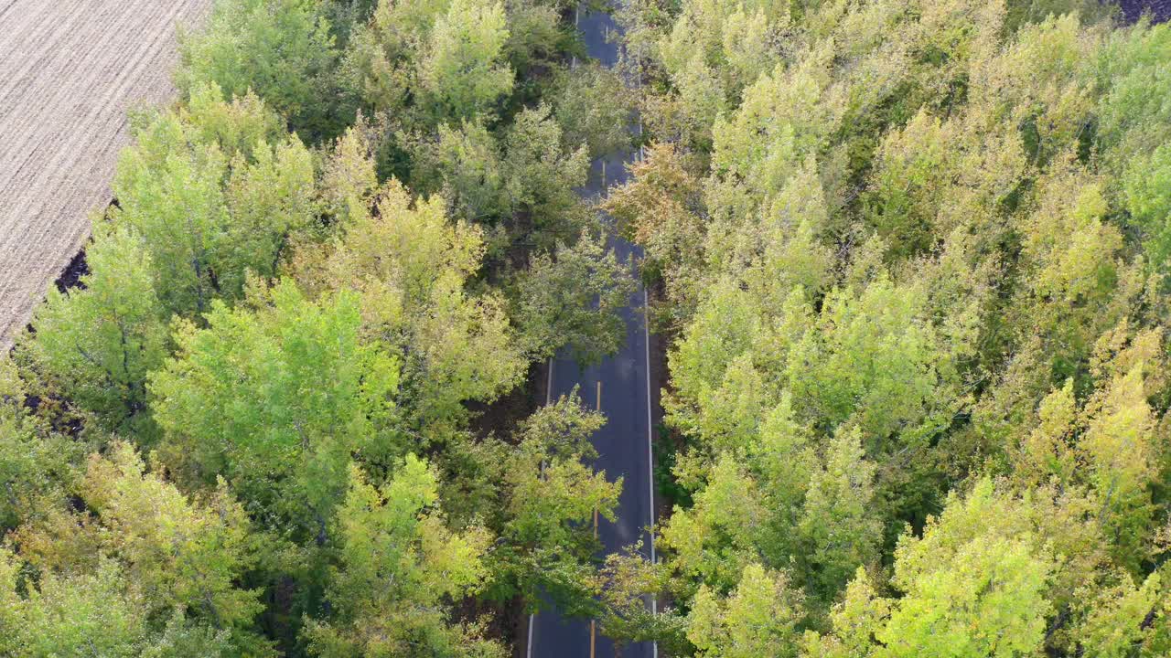 航拍的汽车行驶在道路上的秋天的树木视频下载