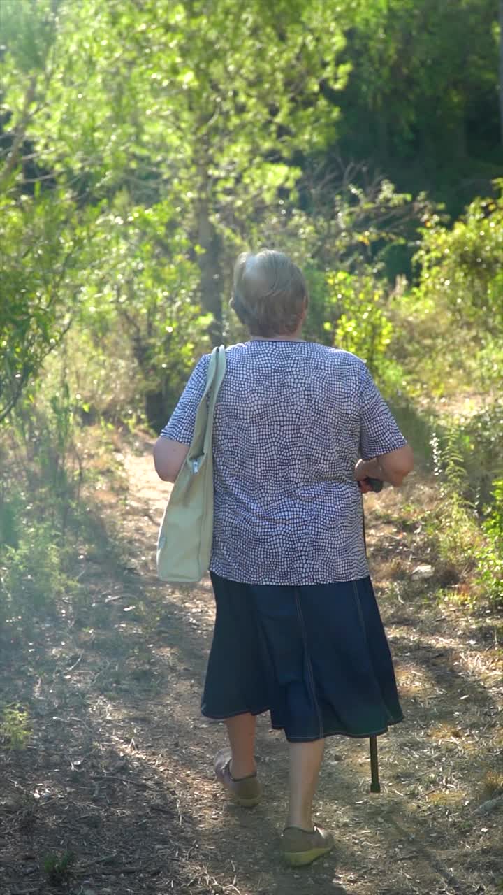 老年妇女在森林小路上散步，老年人的健康活动视频素材