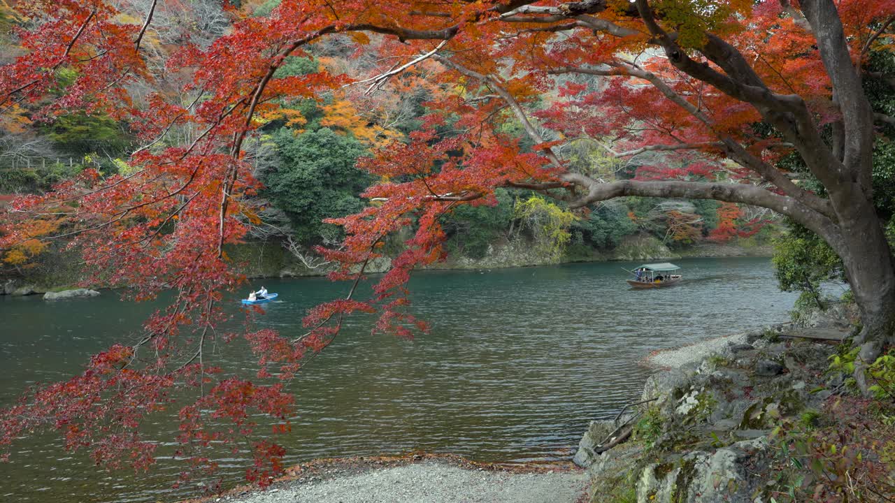 在日本京都的秋天，游客们在桂川河上享受宁静的小船，周围是充满活力的秋叶视频下载