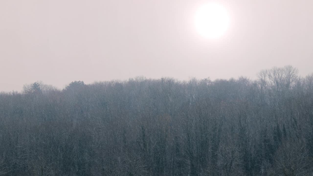 雪下的森林景观。冬天森林上方明亮的太阳。阳光下的雪。晴朗的天空下，雪花落在树上视频下载