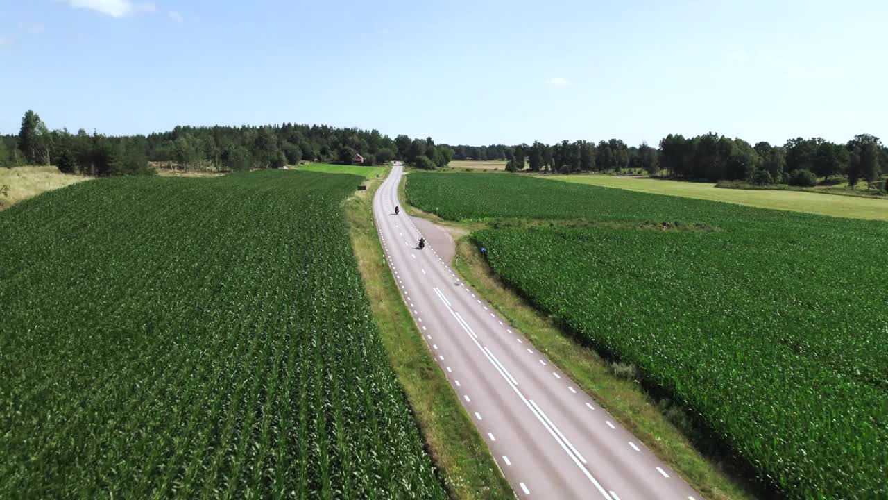 夏天，飞越瑞典公路，两边都是玉米田视频下载