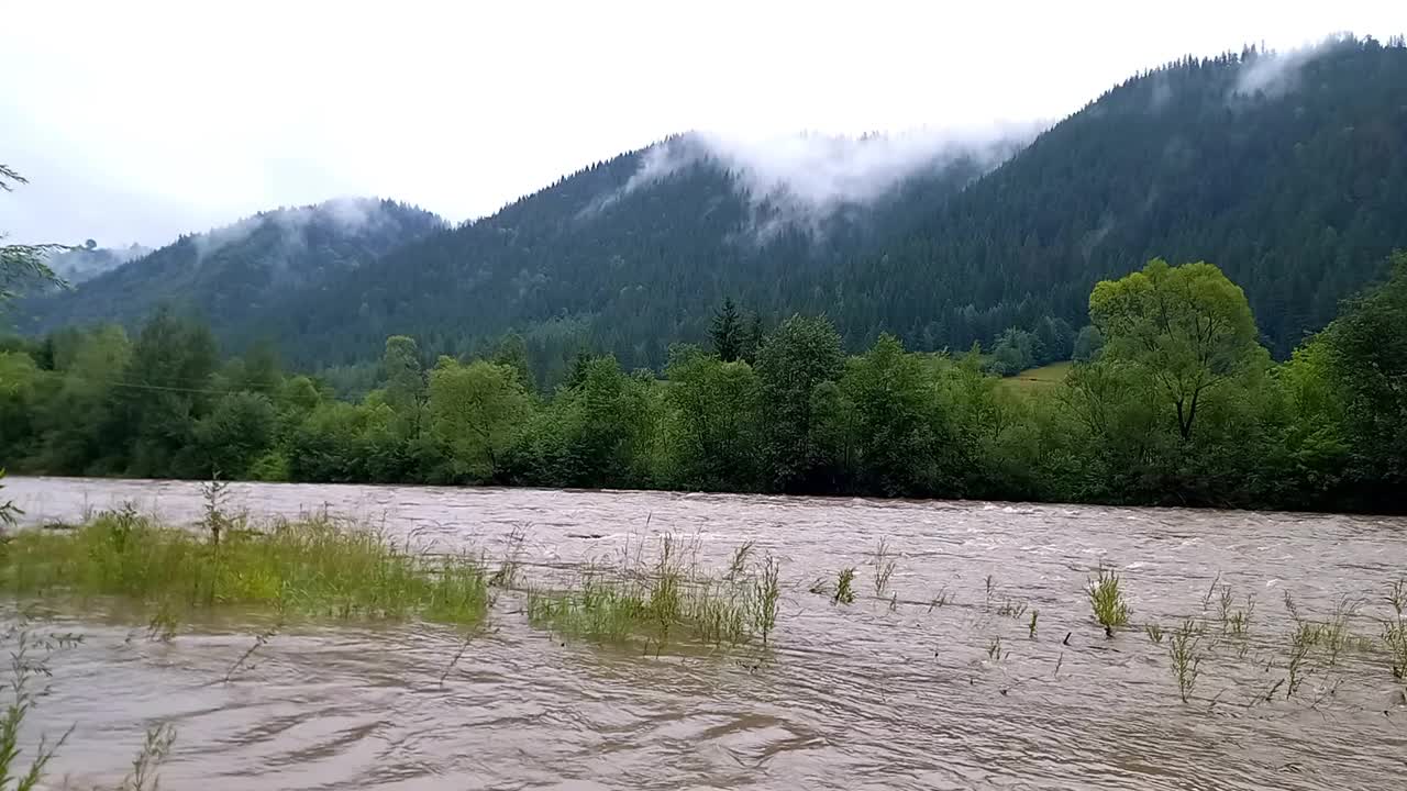 风景。夏季降雨时，基列莫什山河水快速流动的景象。降水期间河流水位的上升。乌克兰，喀尔巴阡山脉视频素材