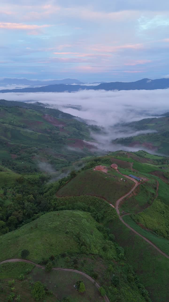 一个令人惊叹的鸟瞰图，一个薄雾山景观在黎明，展示连绵起伏的丘陵，郁郁葱葱的绿色植物，和一个宁静的天空，垂直镜头。视频下载