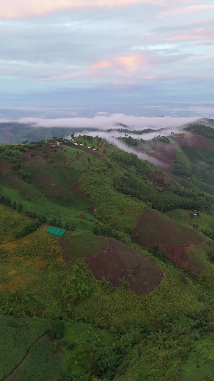 一个令人惊叹的鸟瞰图，一个薄雾山景观在黎明，展示连绵起伏的丘陵，郁郁葱葱的绿色植物，和一个宁静的天空，垂直镜头。视频素材