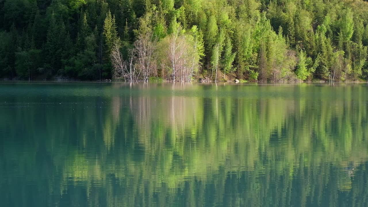 当树木和森林在阳光的照耀下，在清澈、绿松石和绿色的山间湖水中反射出春天的宁静。哈萨克斯坦阿拉木图的伊塞克峡谷视频素材