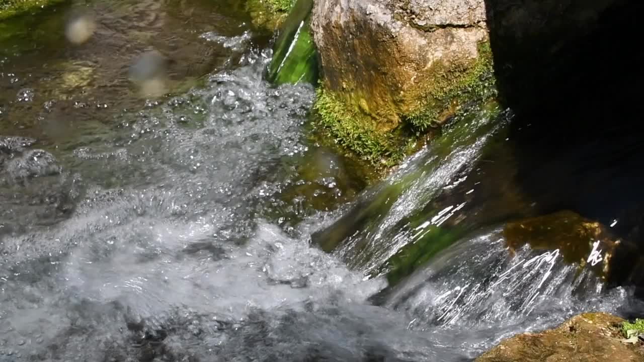 淡水泉被郁郁葱葱的绿色植被所包围视频素材