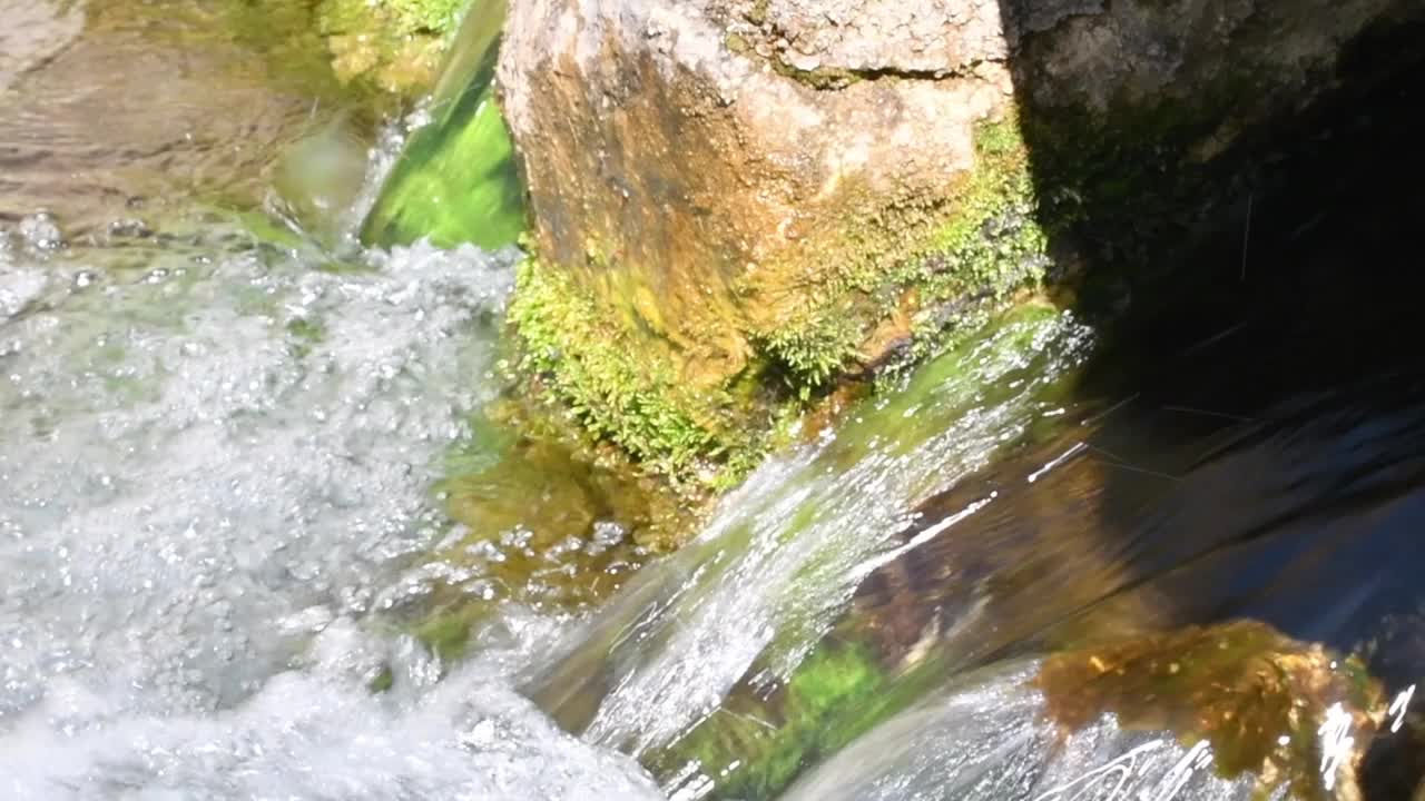 淡水泉被郁郁葱葱的绿色植被所包围视频素材