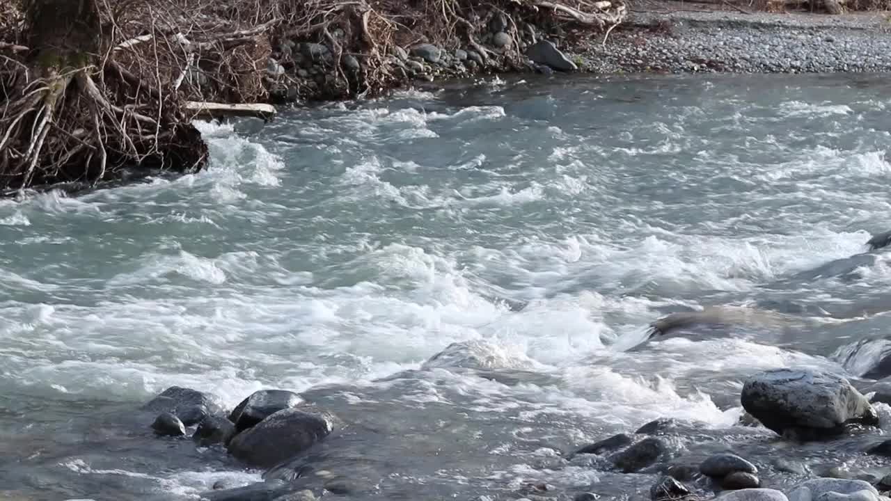 白色的河流激流在干净的新鲜的山区水与岩石在森林视频下载