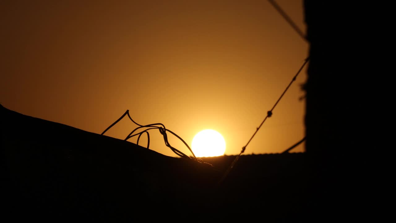 夕阳视频下载