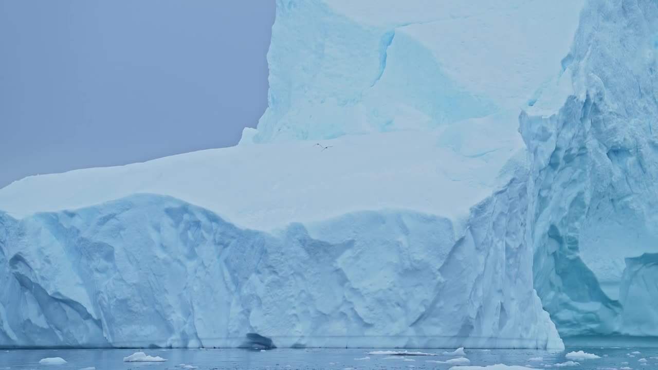 南极冰山和鸟类飞行，海鸟在沿海海洋和海蓝冬季景观风景，鸟类在南极半岛海岸惊人的冰的形成和形状视频素材