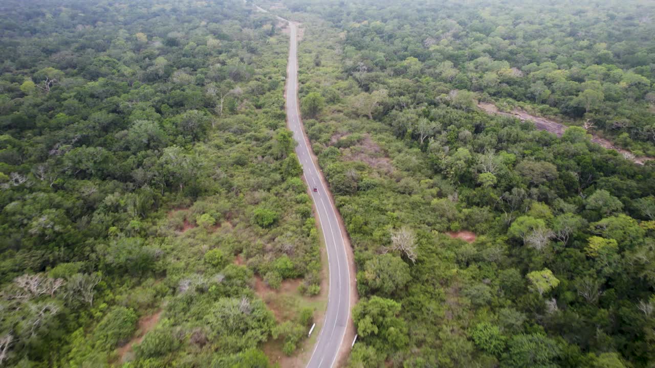 在斯里兰卡，嘟嘟车行驶在郁郁葱葱的绿色森林道路上，鸟瞰图视频素材