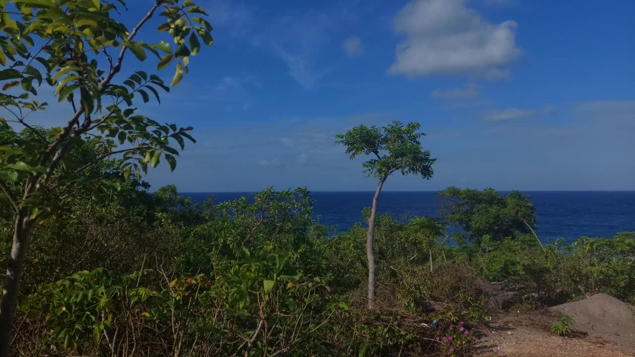 白天的海滨视频素材