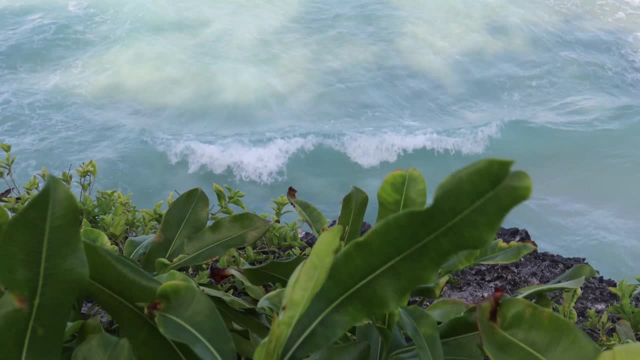 白天的海滨视频素材