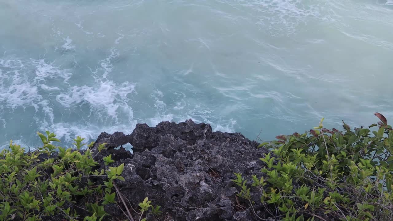 白天的海滨视频素材