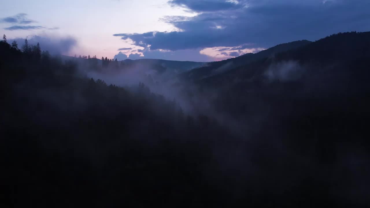 日落时雾气缭绕的山间松林。雾蒙蒙的风景与冷杉林。视频素材