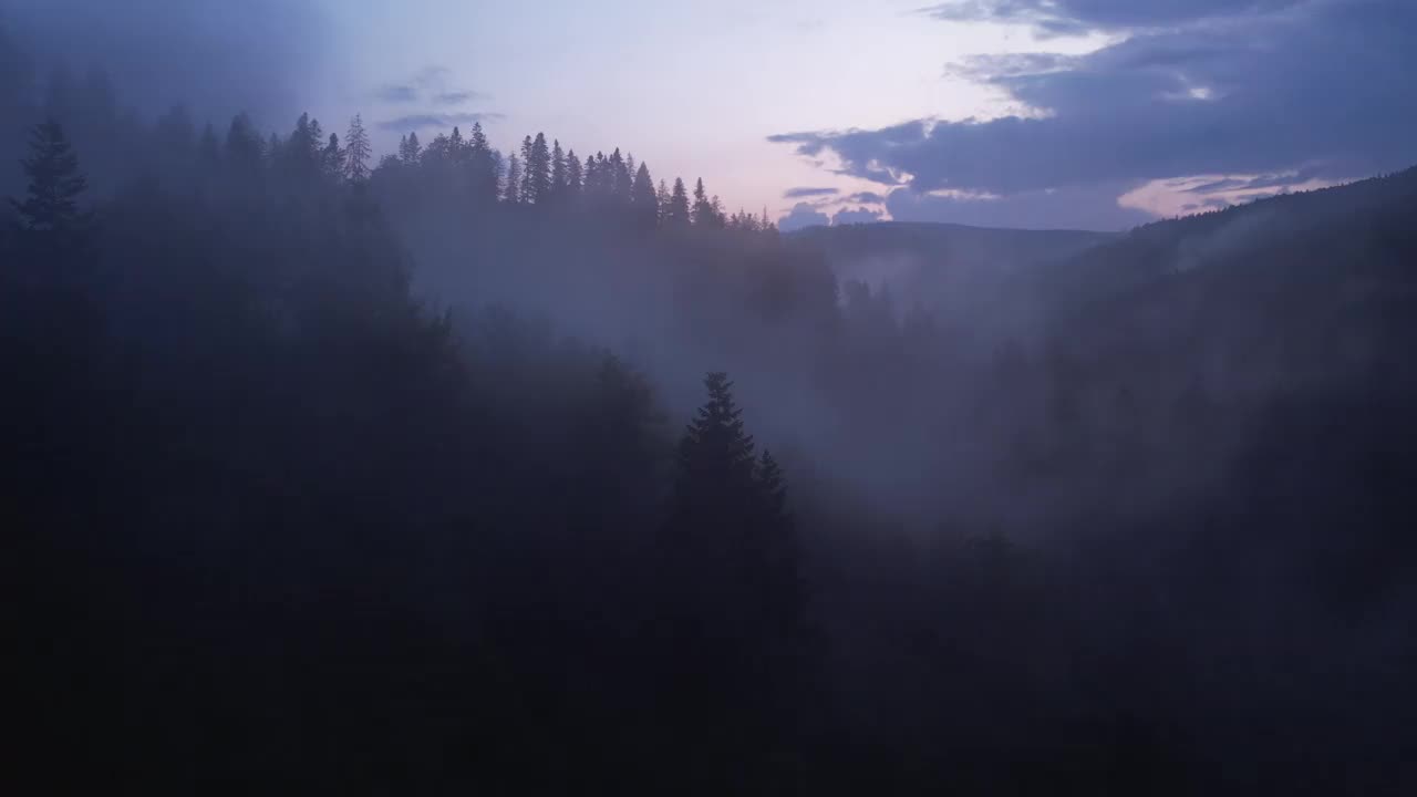 日落时雾气缭绕的山间松林。雾蒙蒙的风景与冷杉林。视频下载