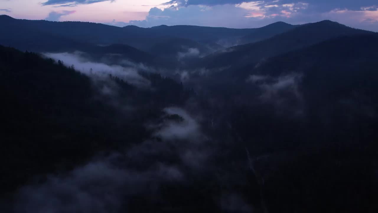 日落时雾气缭绕的山间松林。雾蒙蒙的风景与冷杉林。视频素材