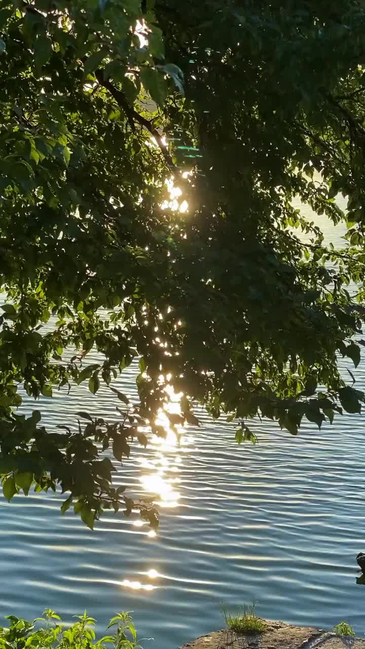 山中湖的景色视频下载