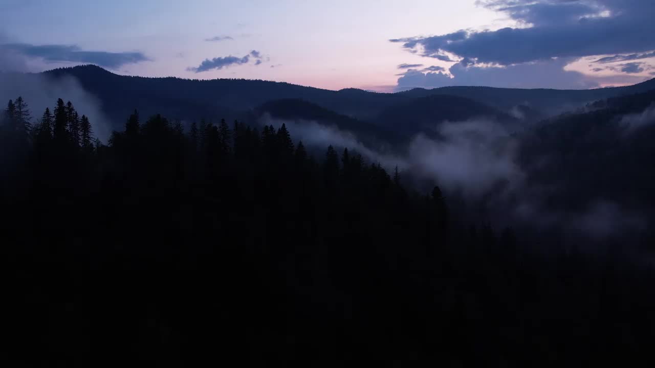 日落时雾气缭绕的山间松林。雾蒙蒙的风景与冷杉林。视频素材