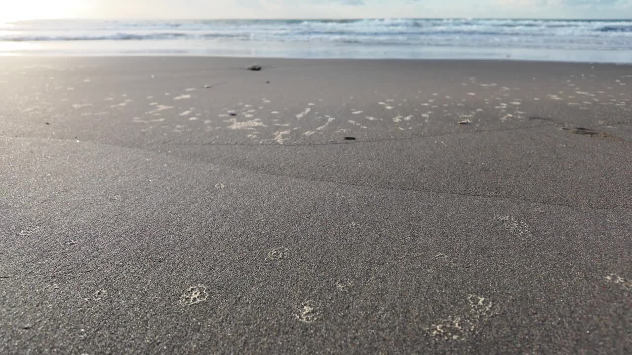 视频中，一名男子穿着凉鞋独自行走在黑色沙滩上，海浪平滑地拍打着沙滩，摄像机从侧面以低角度放置，聚焦在前景的沙滩上。视频下载