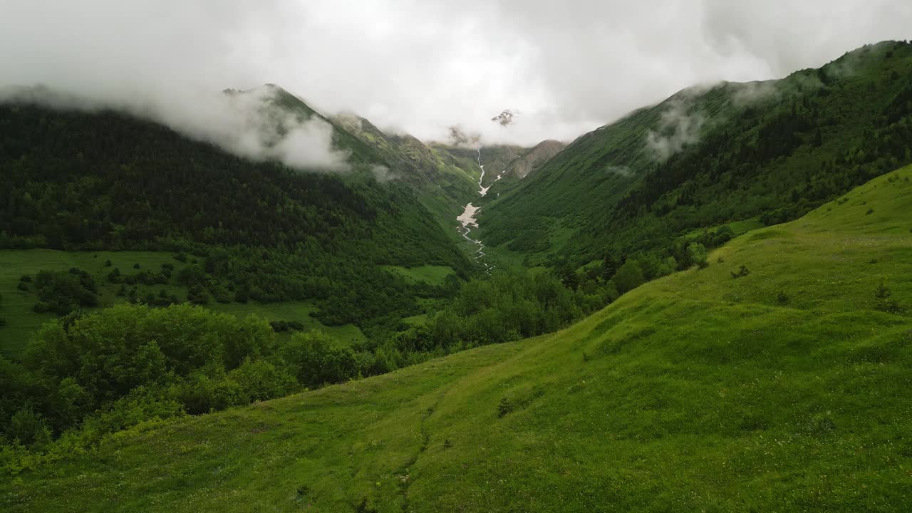 高山草甸在斯瓦涅季山脉与丰富的植物，迷雾山脉的背景。场景展现了宁静的自然，宁静的孤独，户外的探索。适合旅行、冒险、自由、放松。视频素材