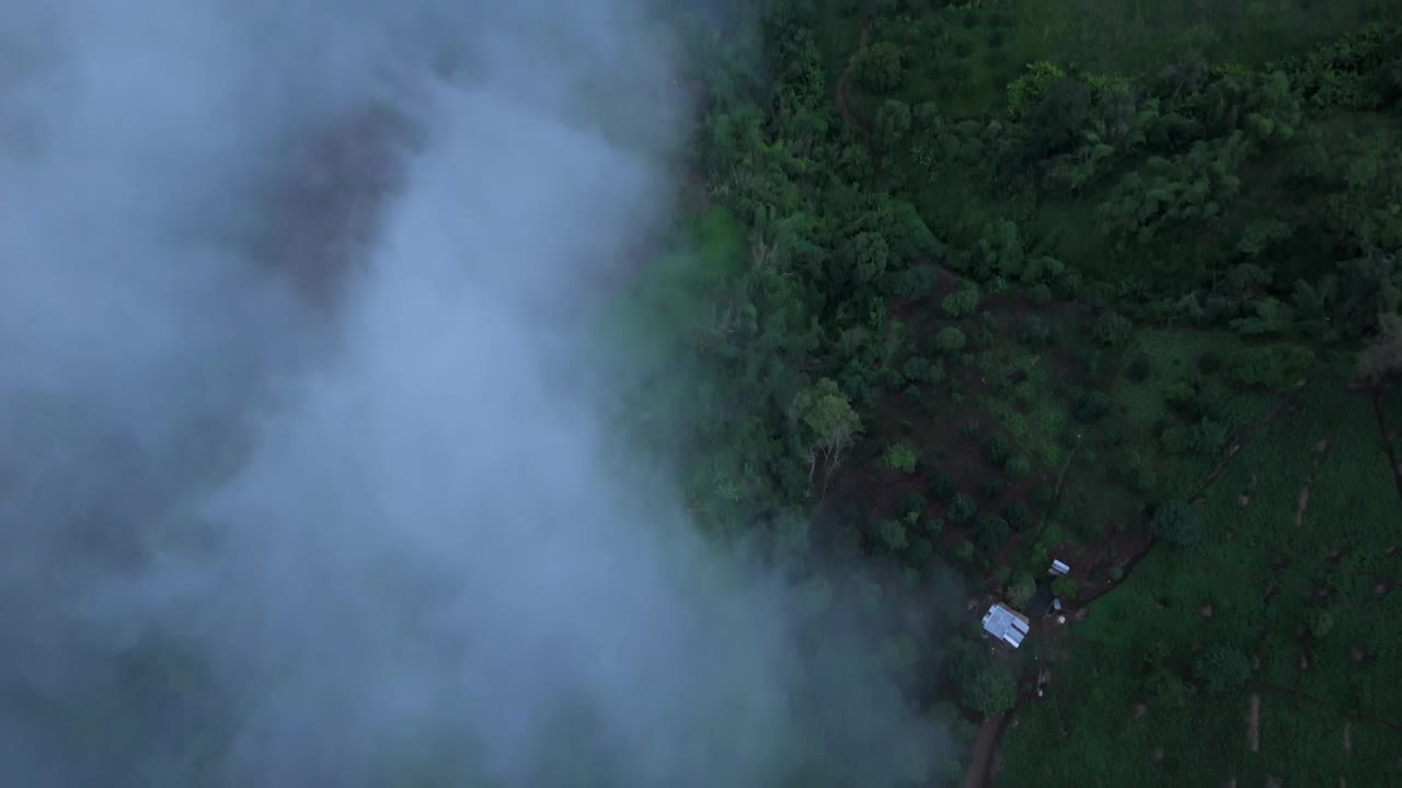 航拍照片捕捉雾气笼罩的森林，茂密的绿叶中有一个孤独的小屋，营造出宁静而神秘的氛围。视频下载