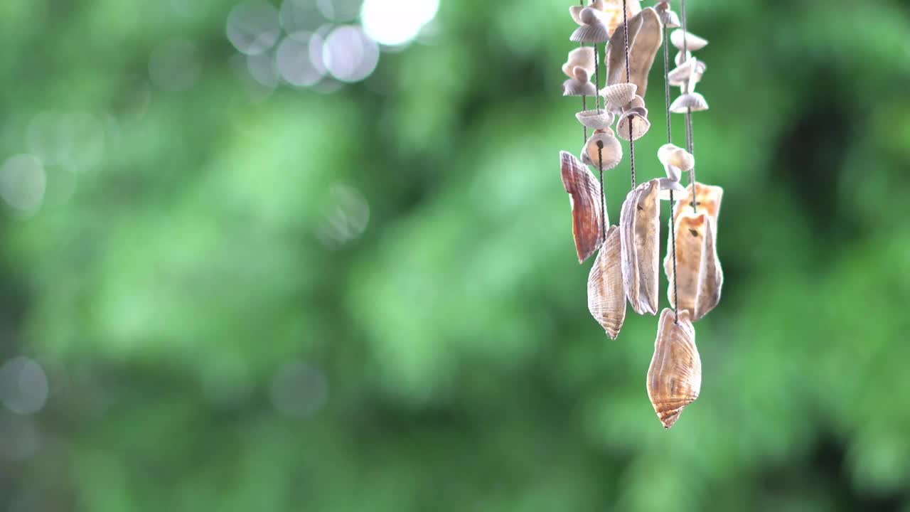 贝壳风铃挂在右边，在风中吹着，绿色的树为背景视频素材