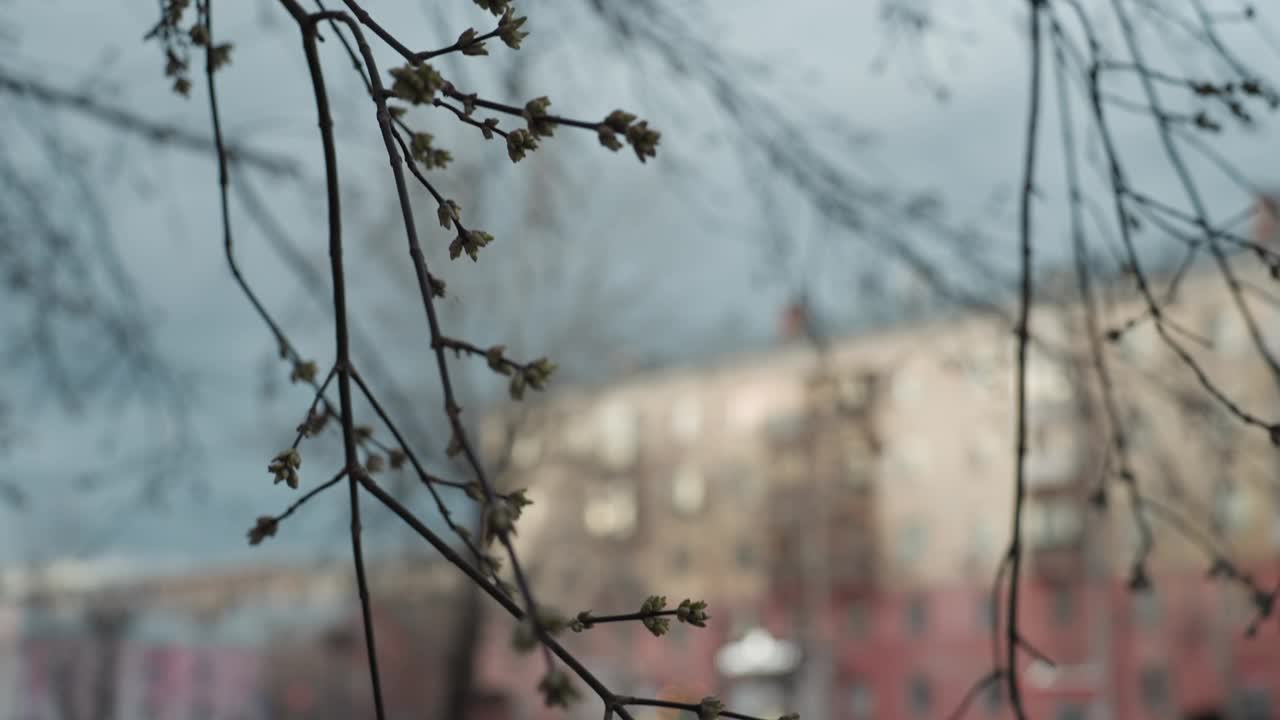 城市街道的散景，行人和汽车经过时模糊视频素材