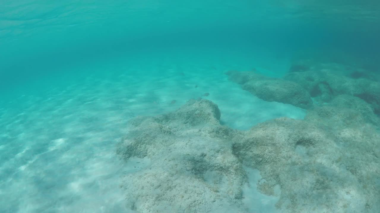 在海底有一些鱼和岩石视频下载