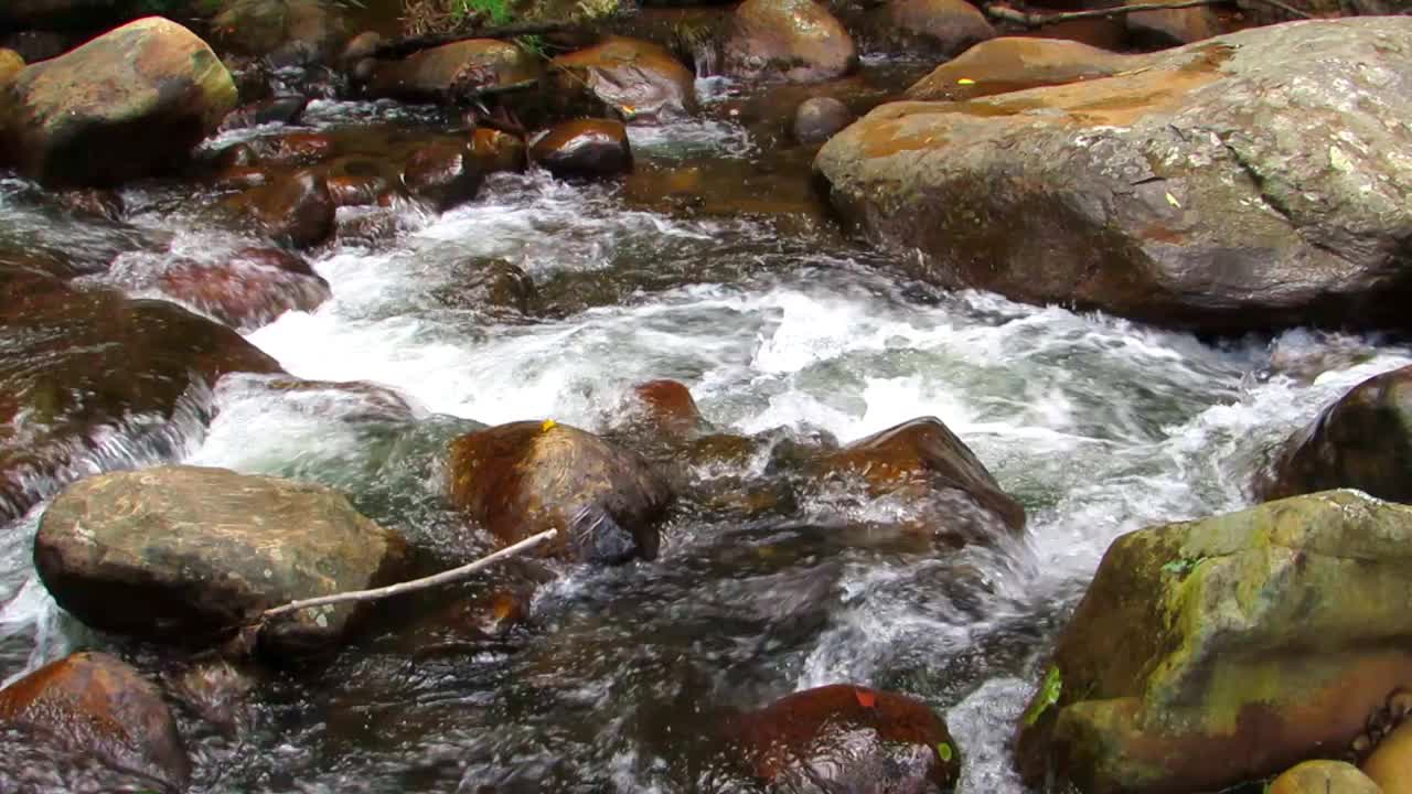 清澈的河水从山上流下，在岩石之间形成小瀑布视频下载