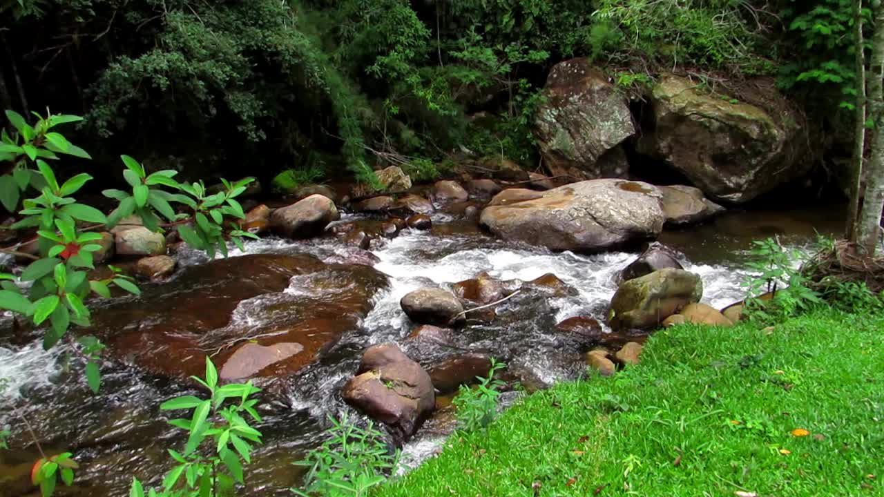 清澈的河水从山上流下，在岩石之间形成小瀑布视频下载