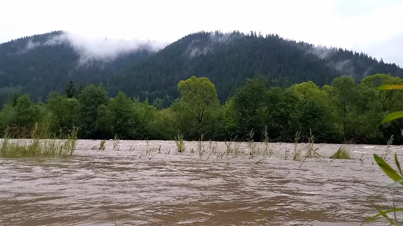 风景。夏季降雨时，基列莫什山河水快速流动的景象。降水期间河流水位的上升。乌克兰，喀尔巴阡山脉视频素材