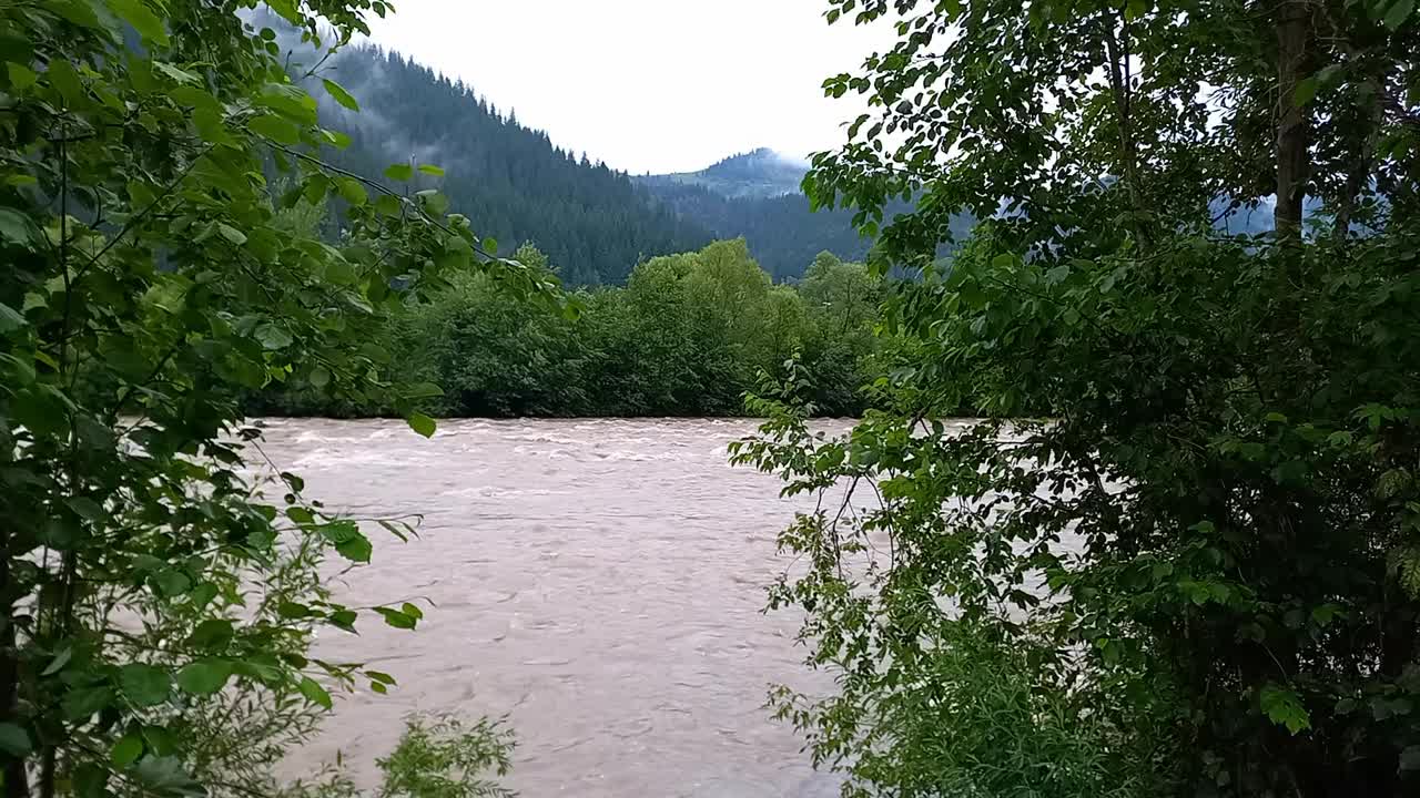 风景。夏季降雨时，基列莫什山河水快速流动的景象。降水期间河流水位的上升。乌克兰，喀尔巴阡山脉视频素材