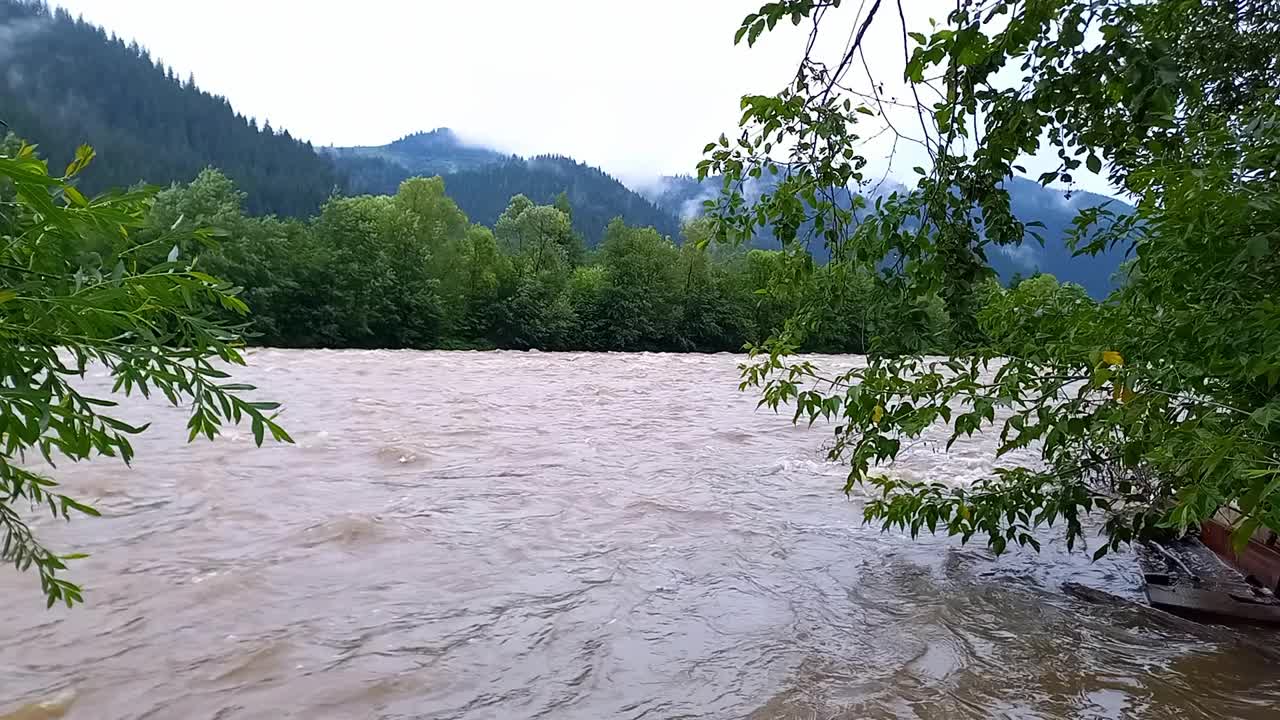 风景。夏季降雨时，基列莫什山河水快速流动的景象。降水期间河流水位的上升。乌克兰，喀尔巴阡山脉视频下载