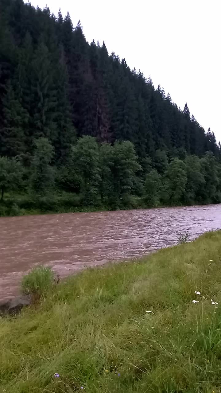 风景。夏季降雨时，基列莫什山河水快速流动的景象。降水期间河流水位的上升。乌克兰，喀尔巴阡山脉。垂直视频视频素材