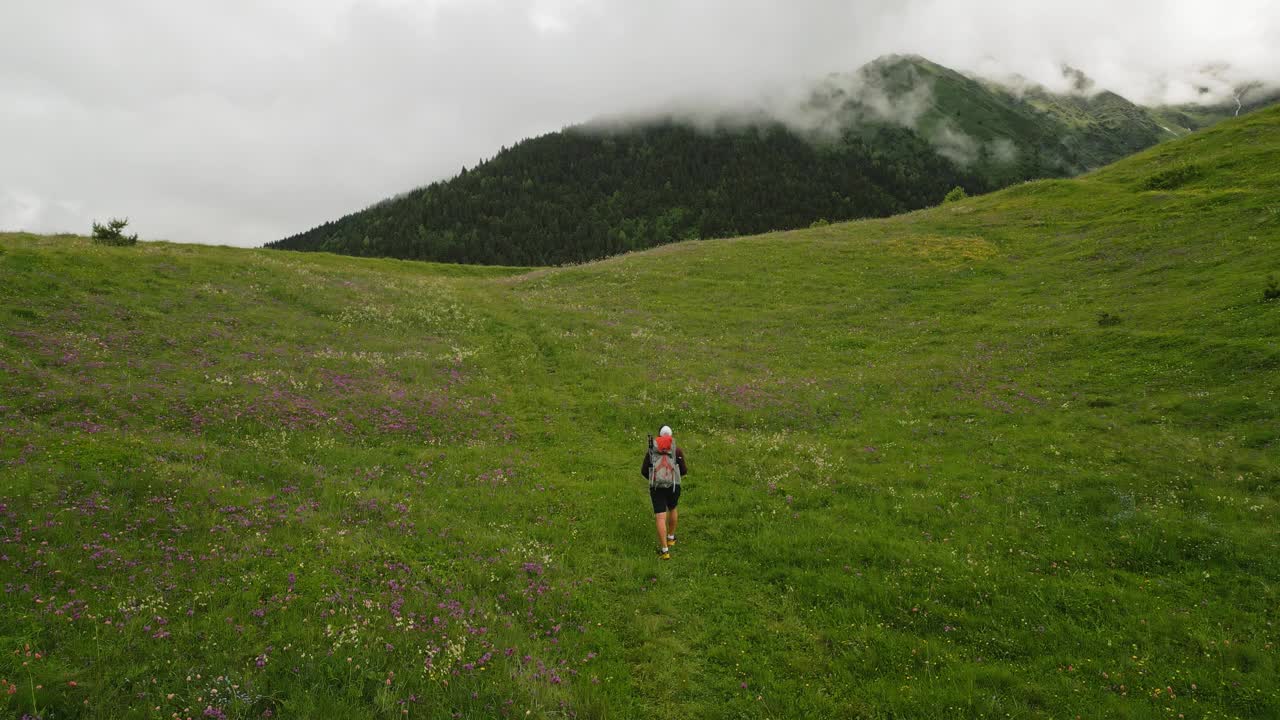 航拍的男性背包客攀登高山草甸与花，雾蒙蒙的山脉。徒步旅行，探索自然，户外探险。生态旅行者在风景优美的景观中，享受积极的生活方式。视频素材