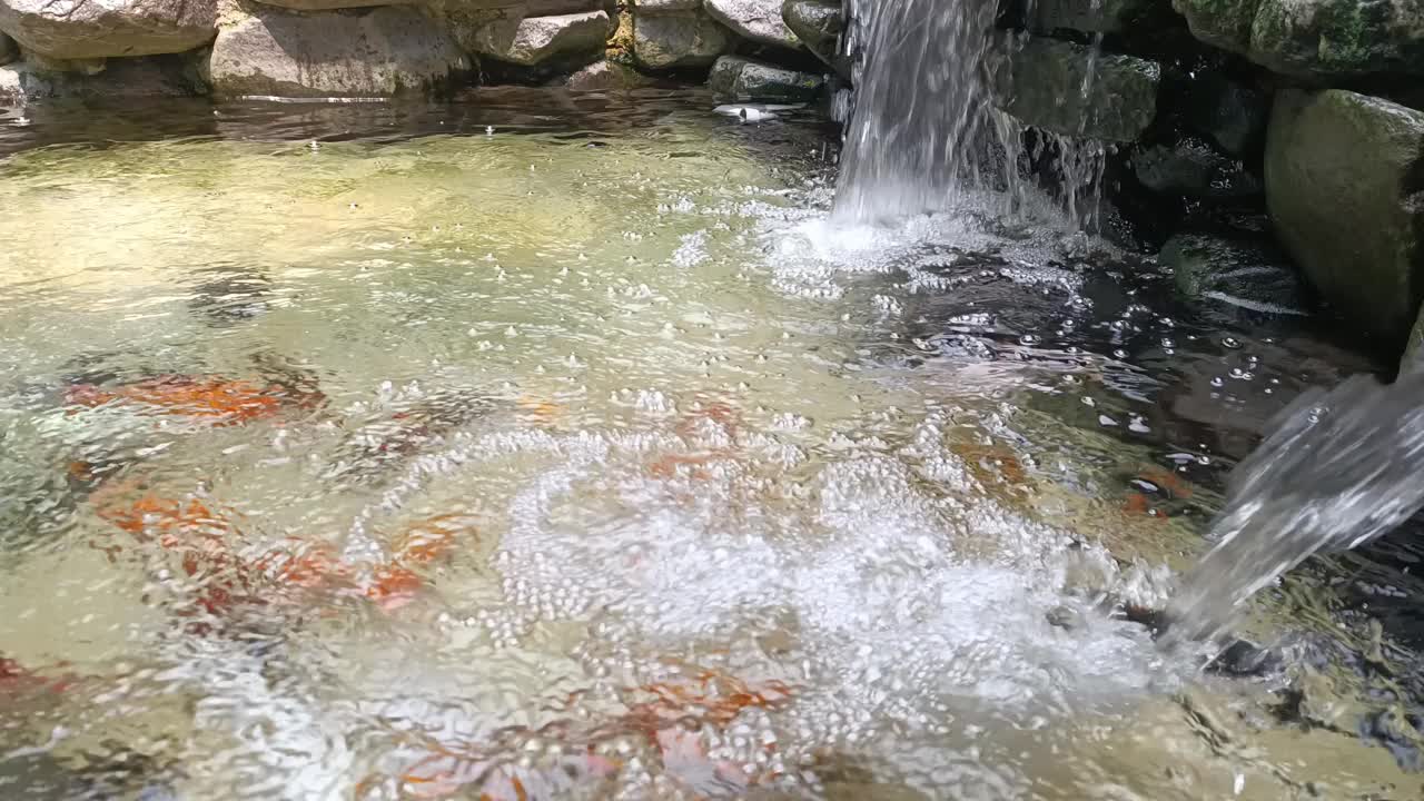 观赏鱼池与河石和喷泉从直角看视频素材