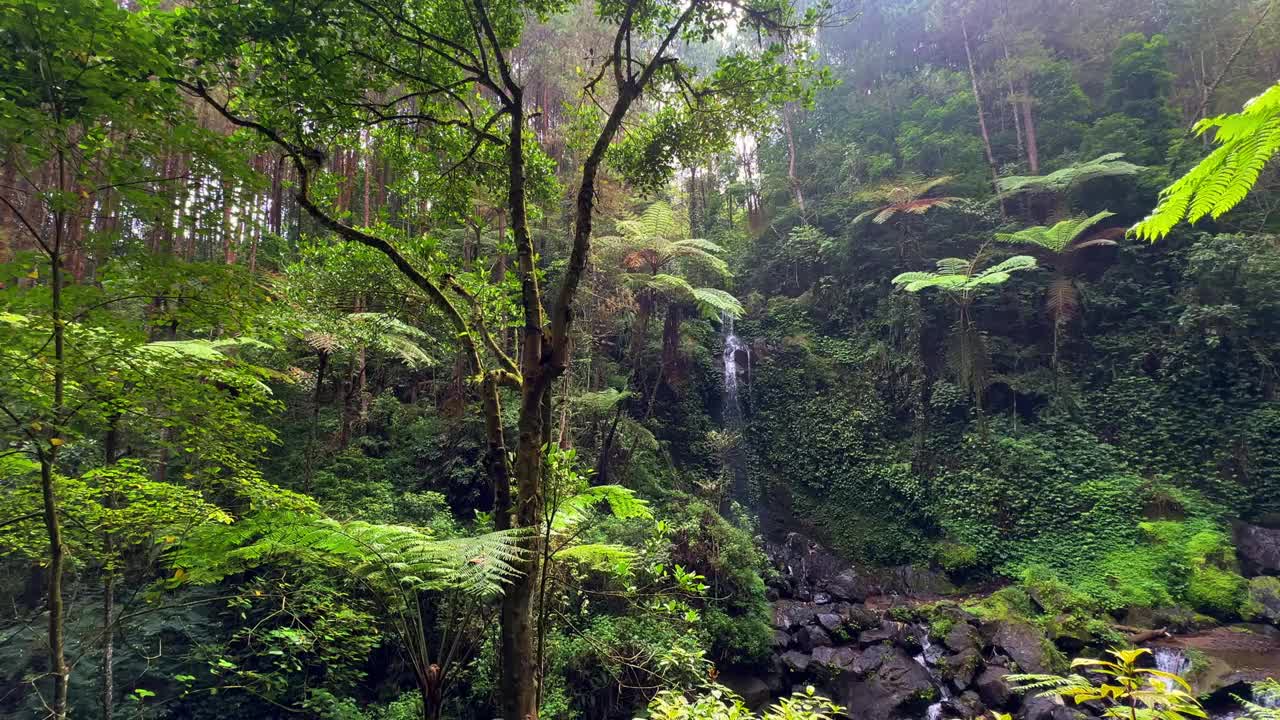 从悬崖裂缝里流出的水打在岩石上。瀑布正处于热带阵雨之中视频素材