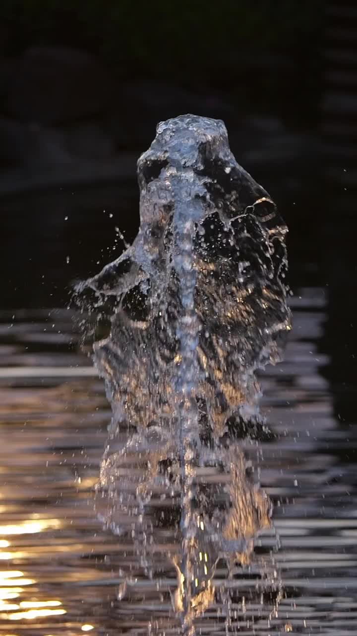 日落喷泉与水喷向上在一个单一的射流。以波光粼粼的水面为背景的慢动作捕捉。视频素材