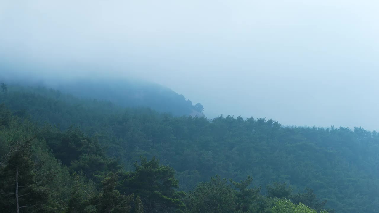 山中的雾视频下载