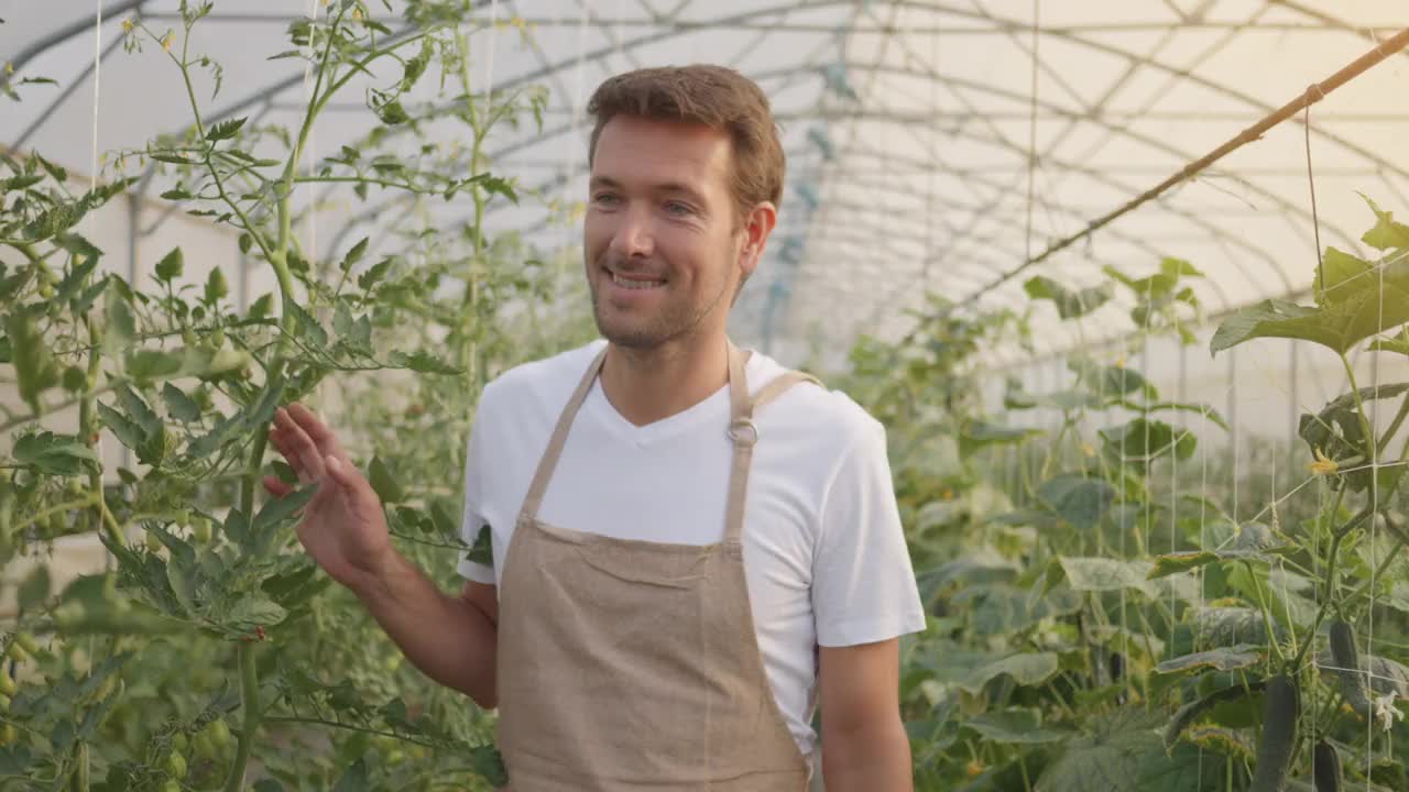 园丁正在检查温室前视图跟踪拍摄的棚架上的植物视频下载