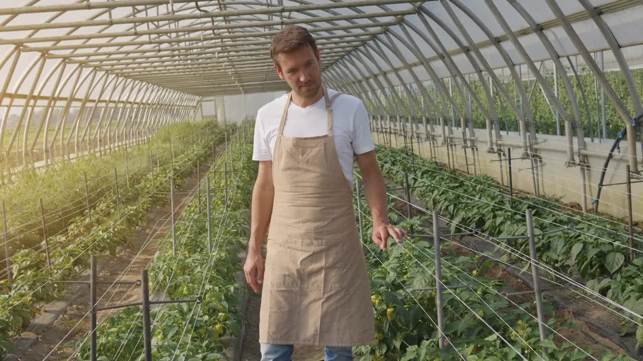 年轻英俊的农民站在温室和微笑的肖像视频下载