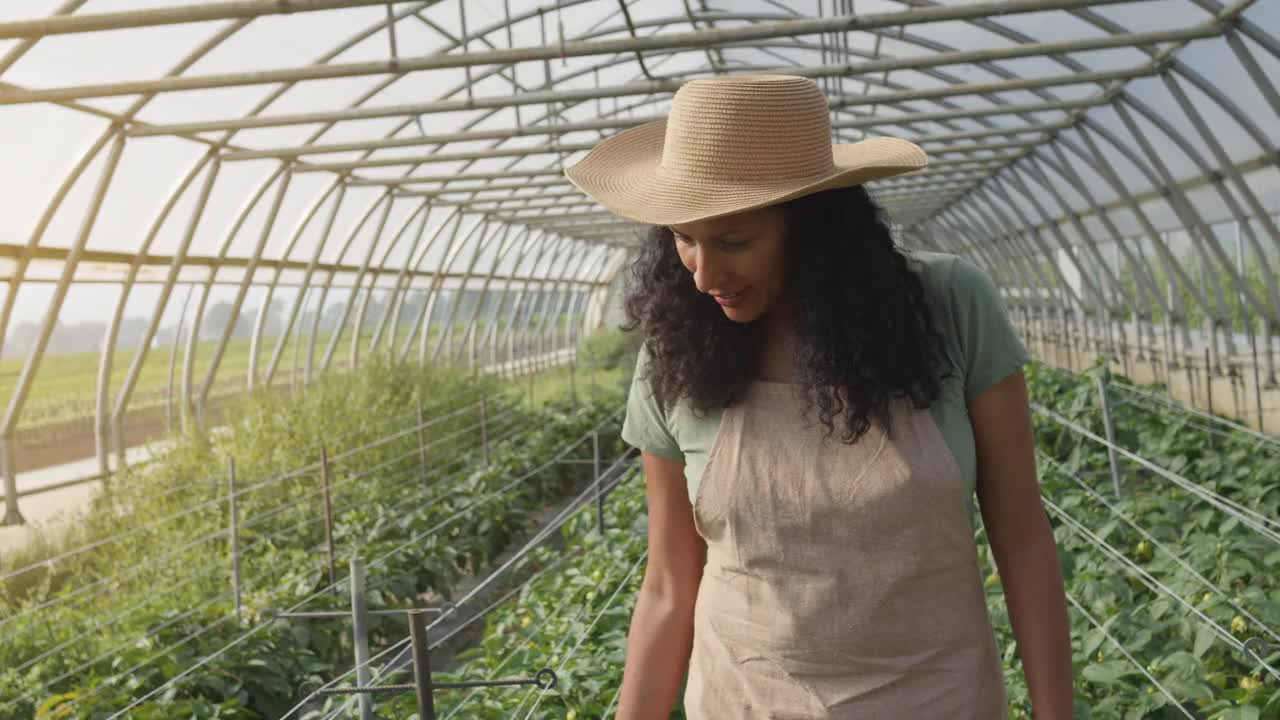 西班牙裔妇女走进温室，检查有机食品生产视频素材